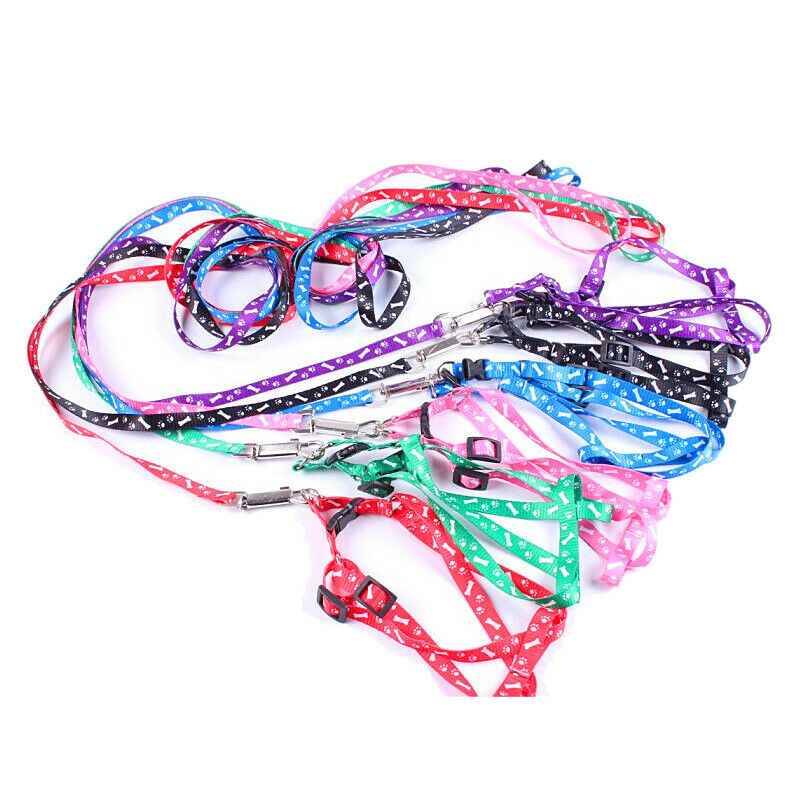 Pet Dog Puppy Cat Kitty Nylon Harness Leash Lead Embroidery