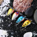 5 Pcs 3 cm Topwater Wobbler Japan Mini Fly Crankbait Fishing Cranks Bait
