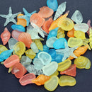 10pcs Luminous Stone Shells Star Aquarium Fish Tank new Plastic Decor DIY S R2I3