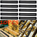 10pcs Black Small Bee Hive Beetle Blaster BeeHive Beetle Trap Beekeeping Tool BN