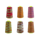 6pcs Rainbow Color Polyester Sewing Thread 40s/2 for Hand and Sewing Machine