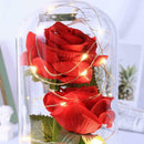 Beauty Rose and Beast Led Light With Fallen Flower Petals in a Glass Dome O