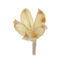 30X Dried Flowers Real Rose Hips for Craft, Wedding Confetti, Floral Art DIY