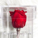 Clear Acrylic Rose Flower Box Makeup Organizer Artificial Flower Bouquet Fl