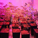 LED Grow Light Bulb Hydroponics Full  Indoor Plant Veg Flower 30W