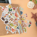 46pcs/lot Autumn Fallen leaves Plant Paper Diary Mini Cute box Stickers set JR