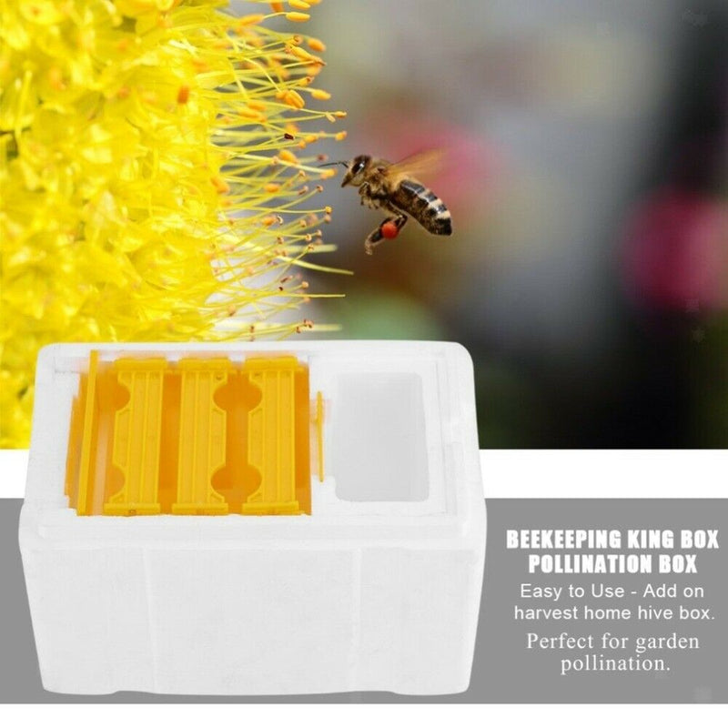 Portable Light Foam Beehive Box Beekeeping Equipment Beekeeping Bee Queen