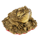 3 Legged Wealth Money Frog Toad Lucky Fortune Feng Shui Ornaments Gift S