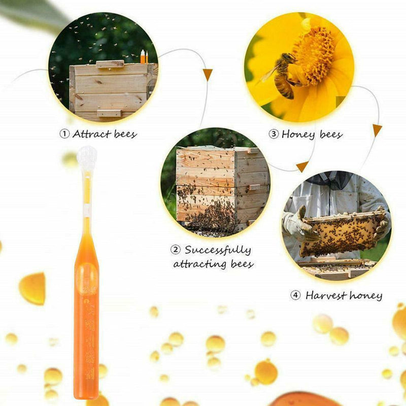 10Pcs Bee Swarm Attractant Lures Bait Trap Beekeeping Hive Honey Fruits Tools