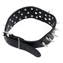 Dog Collars 2 Feet Wide For Pit Bulldog Boxer Doberman