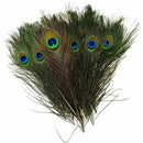 10X Craft Natural Peacock Feathers Wedding Party Bouquet Clothing Decoration 10"