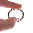 5pcs Round Carabiners Outdoor Camping Hiking Spring Buckle Ring Clip Hook