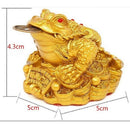 Feng Shui Money Lucky Fortune Oriental Chinese Wealth Frog Toad Coin Decor Gift