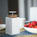 Stainless Steel Toothpick Holder Portable Toothpick Can Container for Travel