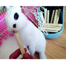 Natural Sweet Bamboos Chew Toys Small Animals Snacks for Rabbits Hamster