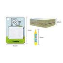 26 English Learning Card Magic Pen Set Water Drawing Painting Board Toys