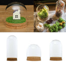 2pcs Cloche Jar Glass Cover Terrariums w/Wood Cork Dry Flower Vase