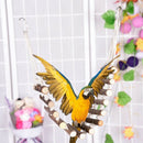 Bird Ladder Bridge Helps Birds With Balance Bright Durable And Flexible Mad X6L2