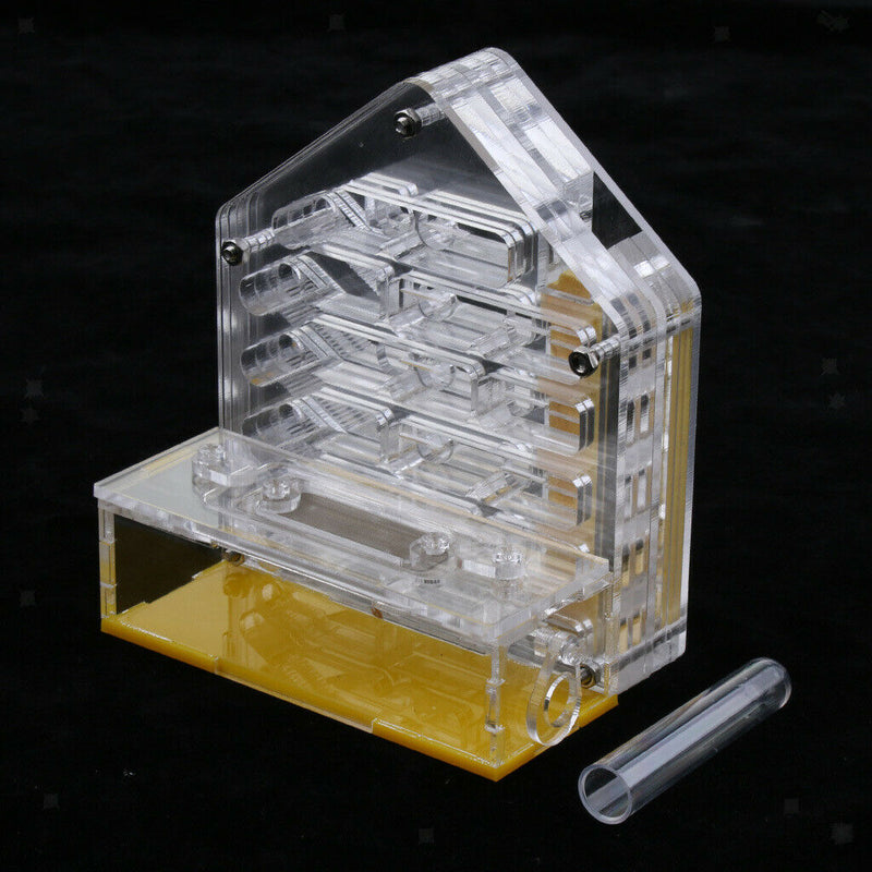 Ants Clear Acrylic Box Farm Formicarium Moistiurising & Ventilated