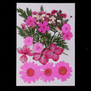 8Pack Mixed Pressed Dried Flowers Leaves for Scrapbooking Wedding Decoration