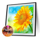 Flower 5D Diamond Painting Full Round Drill DIY Rhinestone Picture (LG556)