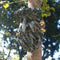 Old Man Tree Face Leaf Plaque Garden Yard Tree Ornament Sculpture Decoration
