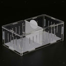 Reptile  Box Amphibian Feeding Container for Spider  Chameleon