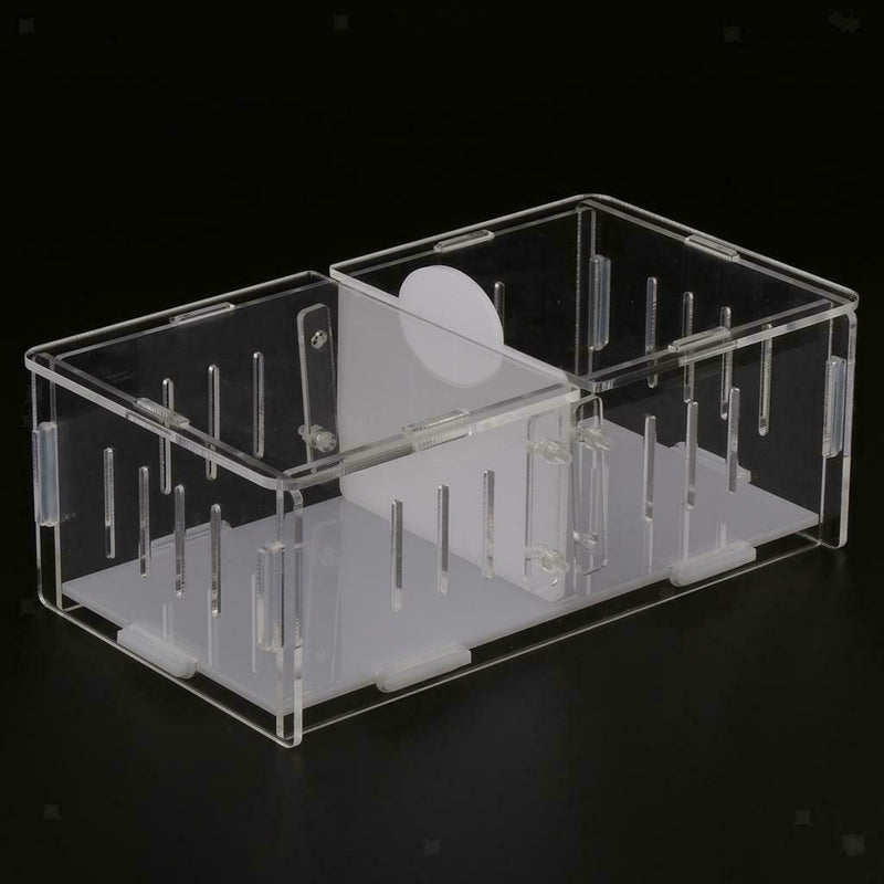 Reptile  Box Amphibian Feeding Container for Spider  Chameleon