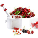 Fruit Cherry Cherries Seed Removing Tool Fruit Stone Extractor Remove BonesB Kw