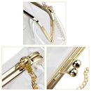 Clear Purse Crossbody Messenger Shoulder Bag For Women Chain Strap(Transpar