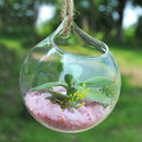 5xFlower Plant Hanging Clear Glass Vase Bottle Pot Wedding Garden Ball Decor