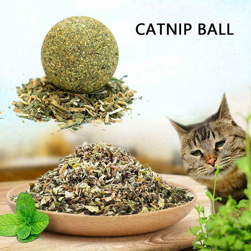 Cat Snack Catnip Ball Lick Solid Nutrition Ball Molar Cleaning Cat Snacks