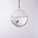 Globe Hanging Glass Vase 10 cm + Iron support 23 cm Height Decoration for G