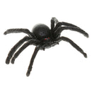 Portable Magnifying Glass Bug Insect Educational Magnifier Observation