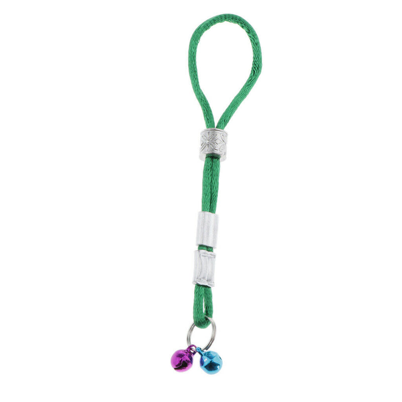 Pet Bird Mirror & Perch +Birds Harness Leash