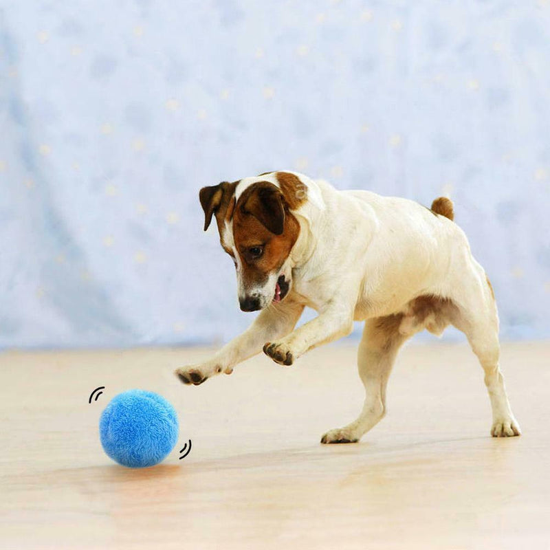 Magic Roller Ball Automatic Dog Cat Toys Robotic Microfiber Mop Ball Sweeper New