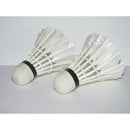 LED Light-Up Badminton Birdies (Set of 2) Shuttlecocks Shuttlecock Feather M1T3