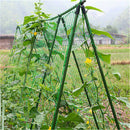 AU_1.8x1.8m Garden Green Nylon Trellis Netting Support Climbing Plant Nets Fen%x
