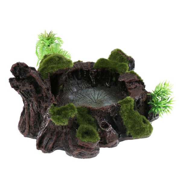 Plant Moss Decor Reptile Feeding Bowl Tortoise Gecko Bearded Dragon Water Dish