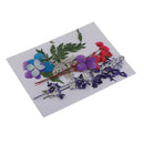 Multi Kinds of Natural Press Dried Flowers Pressed Leaves 5-30mm in Width for