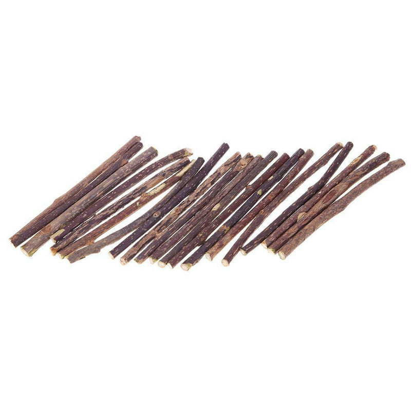 20pcs Natural Fruit Matatabi Cat Snack Sticks Toothpaste Rod Cleaning Teeth Tool