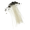 50 Pieces 7.87 Inch Natural Candle Wick, Low Smoke Pre-Waxed, Pre-Tabbed, 100%