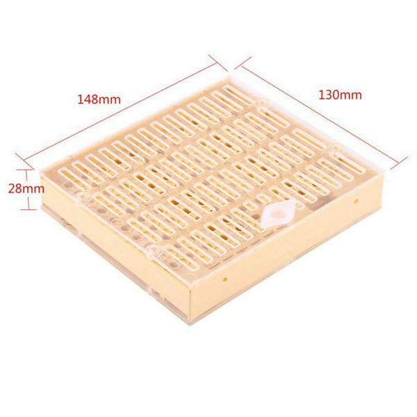 Beekeeping Cup Bee Keeper Tools Queen Rearing Bee Cupkit Box System Beekeep