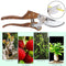 Bypass Pruning Shears Hand Pruner Safety Lock Scissors Garden Snips CutterFT