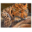 5D DIY Diamond Painting kit Rhinestone Crystals Embroidery Cross Stitch Kit E6J4