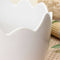 Egg Shaped Flower Plant Pot Container Planter Holder Home Office Garden Dec