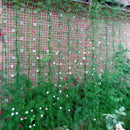 Millipore Net Climbing Frame Gardening Net Plant Fence Anti-Bird Devices