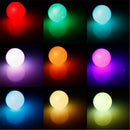 2 x RGB Bulb Remote Color LED Light Bulb Color Changing Light Bulbs 5W & 10W