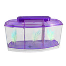 transparent, purple Plastic Battery Powered LED Lamp Mini Desktop Fish Aqua