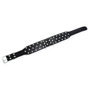 Dog Collars 2 Feet Wide For Pit Bulldog Boxer Doberman